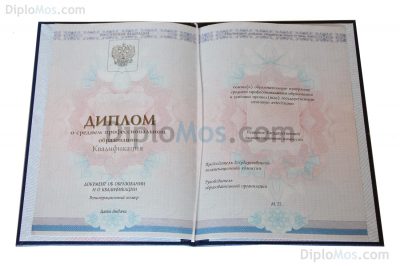 диплом училища, лицея 2014-2025 пермь